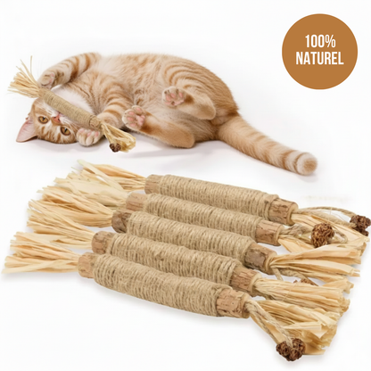 Sticks Dentaires Naturels Milo Care