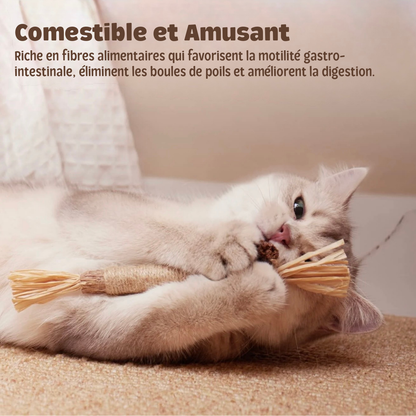 Sticks Dentaires Naturels Milo Care