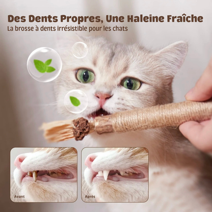 Sticks Dentaires Naturels Milo Care