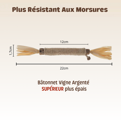 Sticks Dentaires Naturels Milo Care