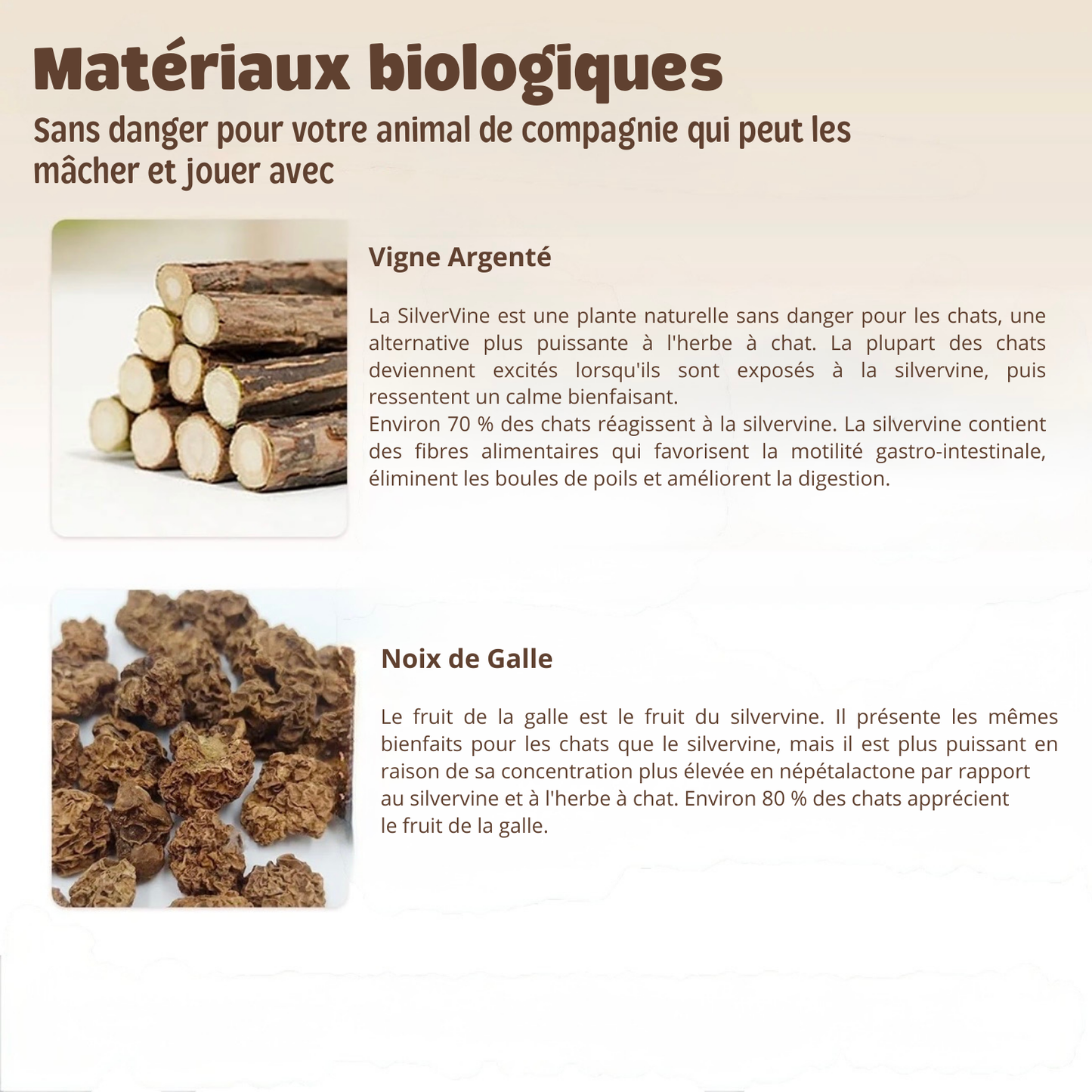 Sticks Dentaires Naturels Milo Care