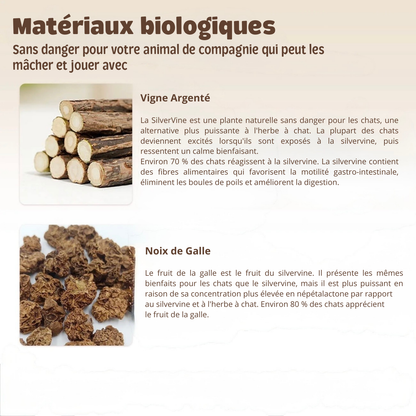 Sticks Dentaires Naturels Milo Care