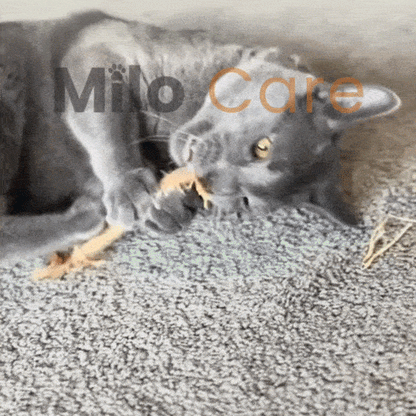 Sticks Dentaires Naturels Milo Care