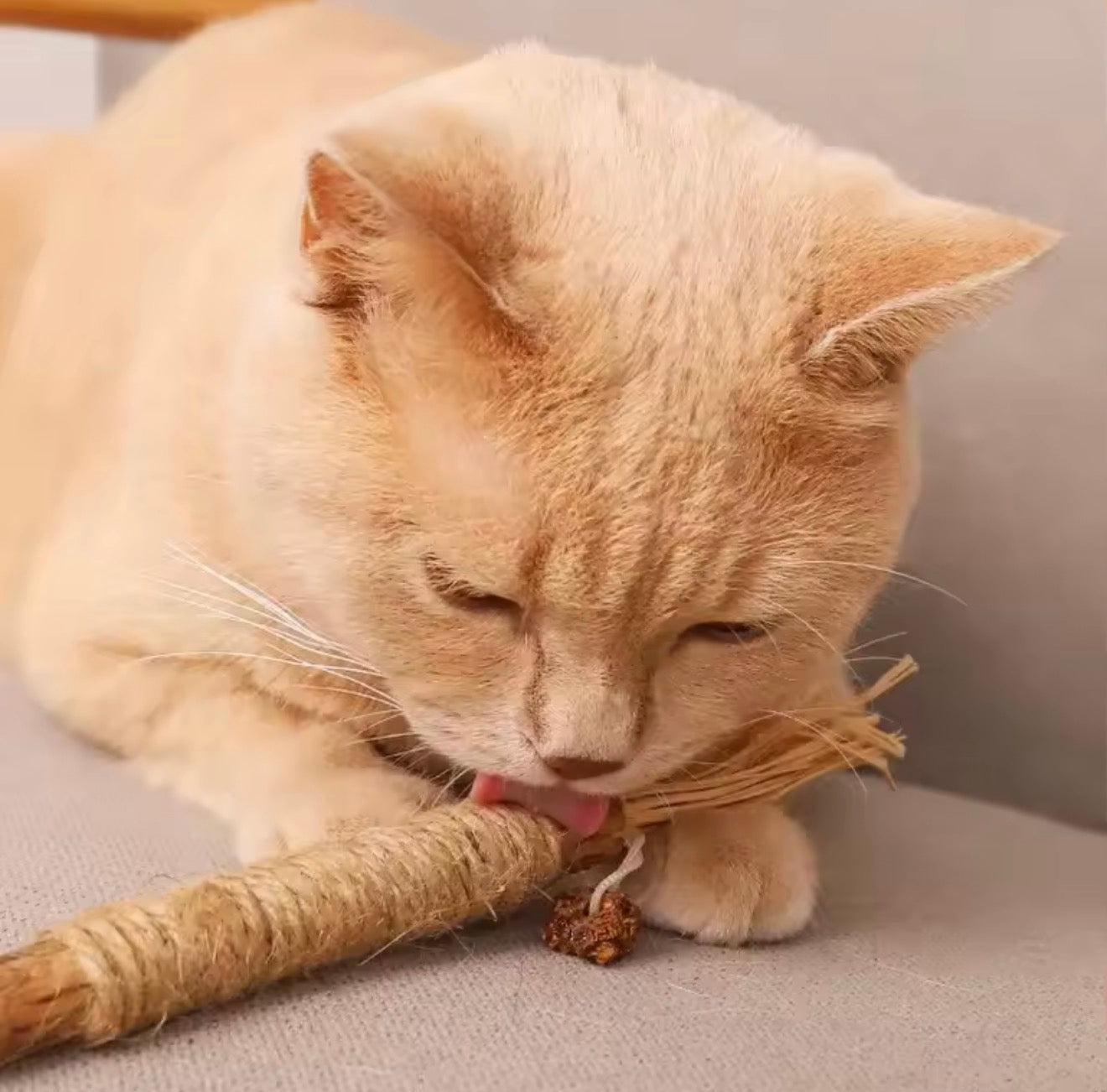 Sticks Dentaires Naturels Milo Care