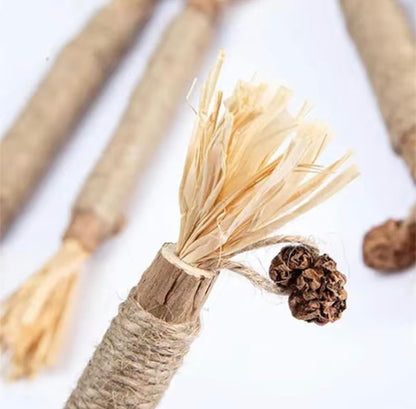 Sticks Dentaires Naturels Milo Care